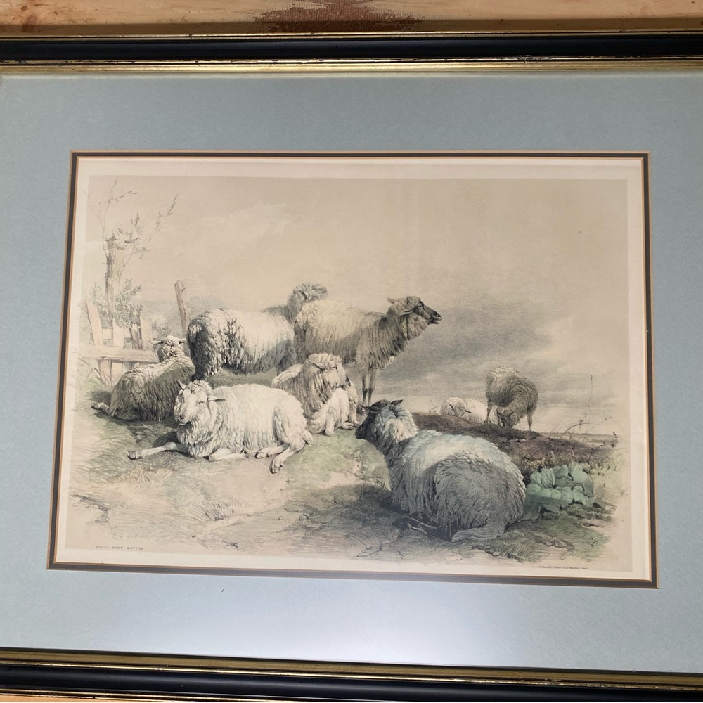 Herds of Sheep 19th c. lithograph + frame by Thomas Sidney Cooper